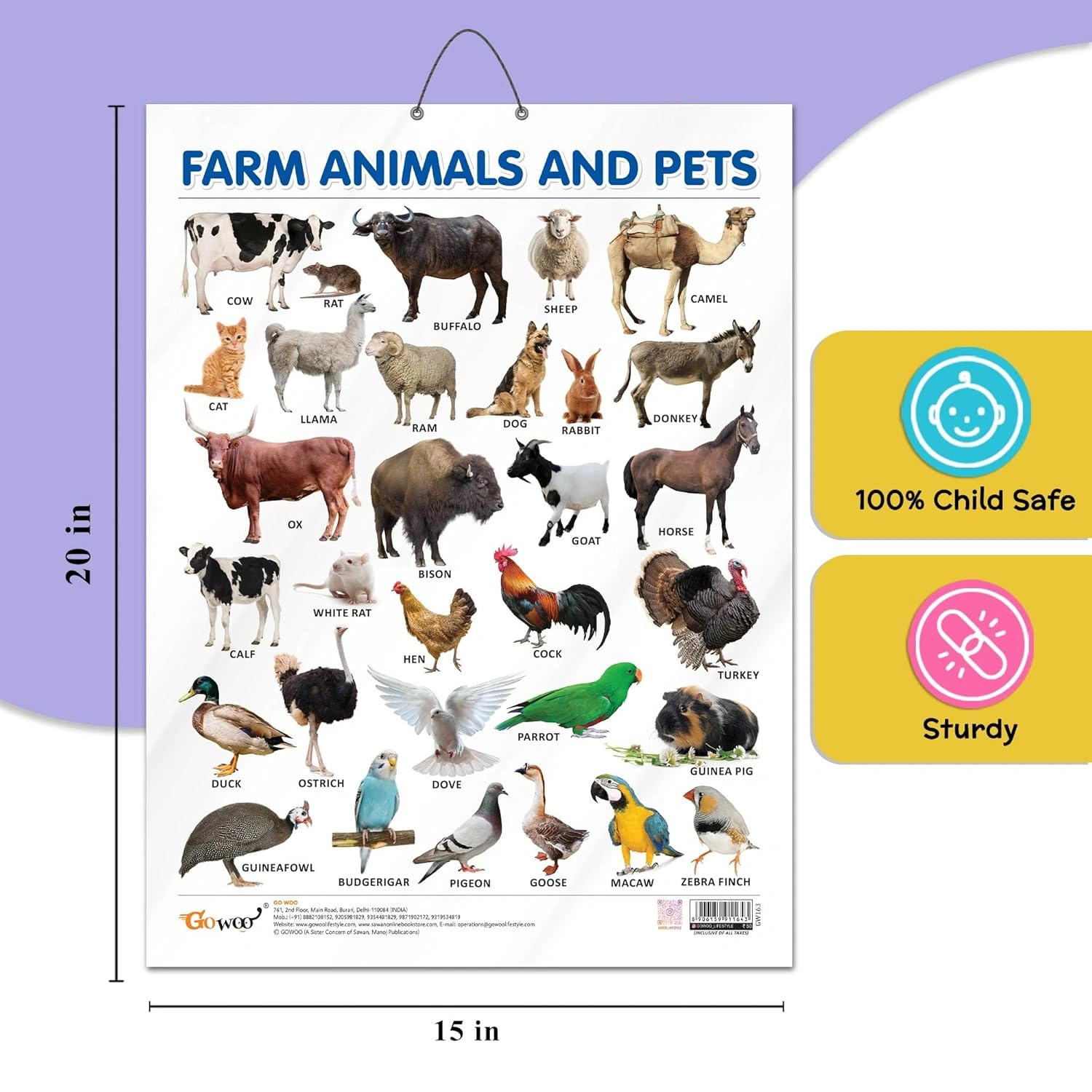 FARM ANIMALS AND PETS CHART GLOSS LAMINATED |Pet Pals and Barn Buddies: Gloss-Laminated Animal Companions Chart Hardcover-4