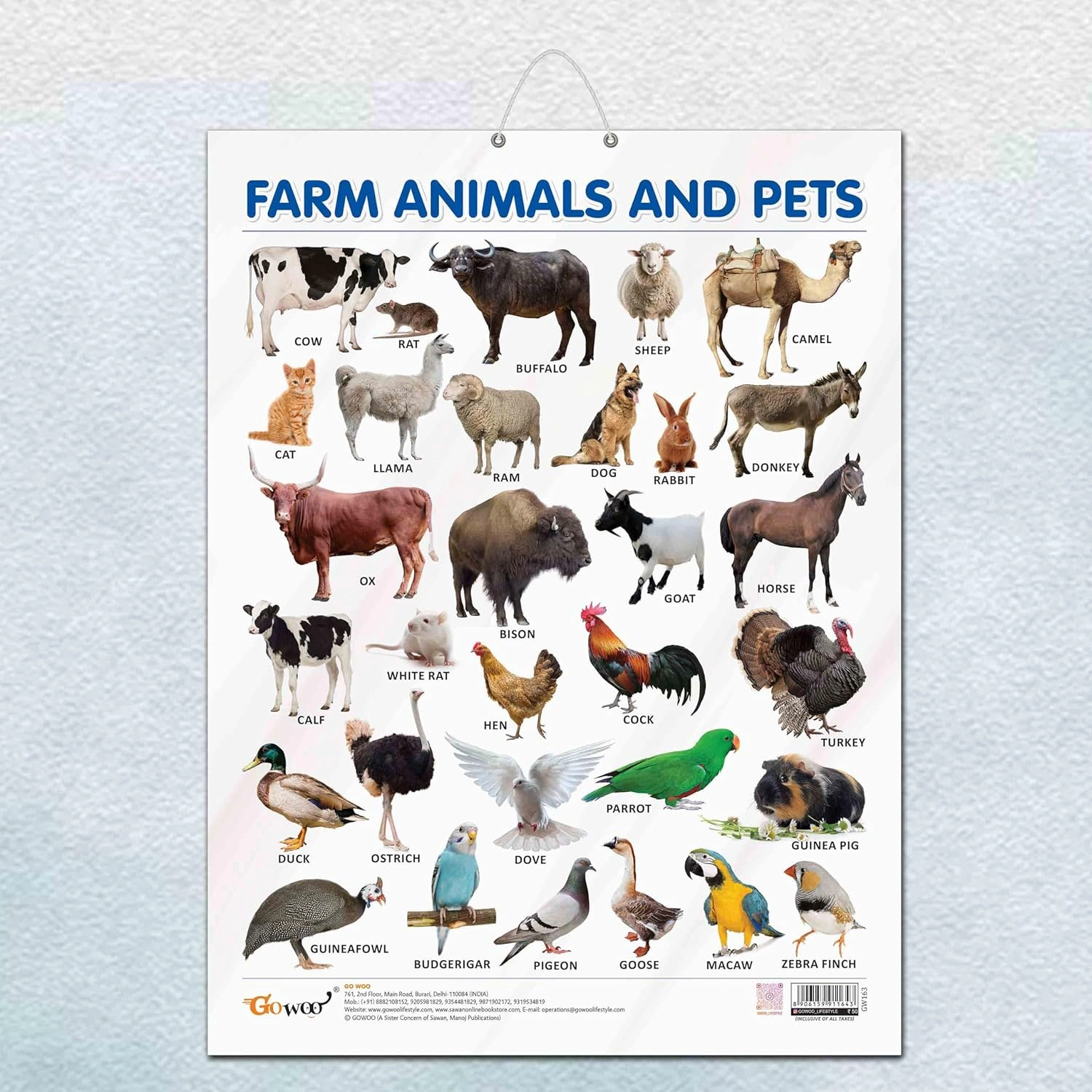 FARM ANIMALS AND PETS CHART GLOSS LAMINATED |Pet Pals and Barn Buddies: Gloss-Laminated Animal Companions Chart Hardcover-RDSS100868