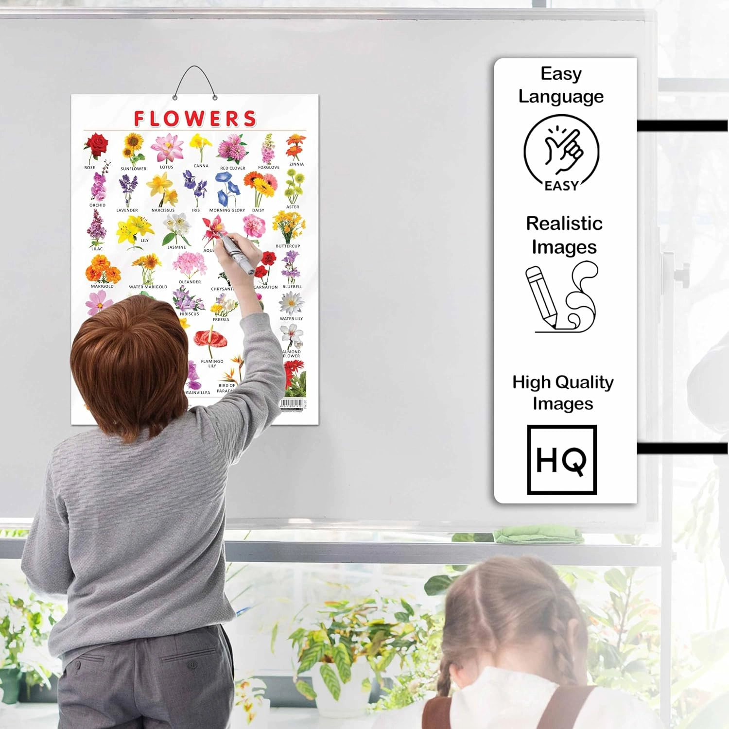 FLOWERS CHART GLOSS LAMINATED |Flower Wonderland: Glossy Identification Chart for Kids Hardcover-1