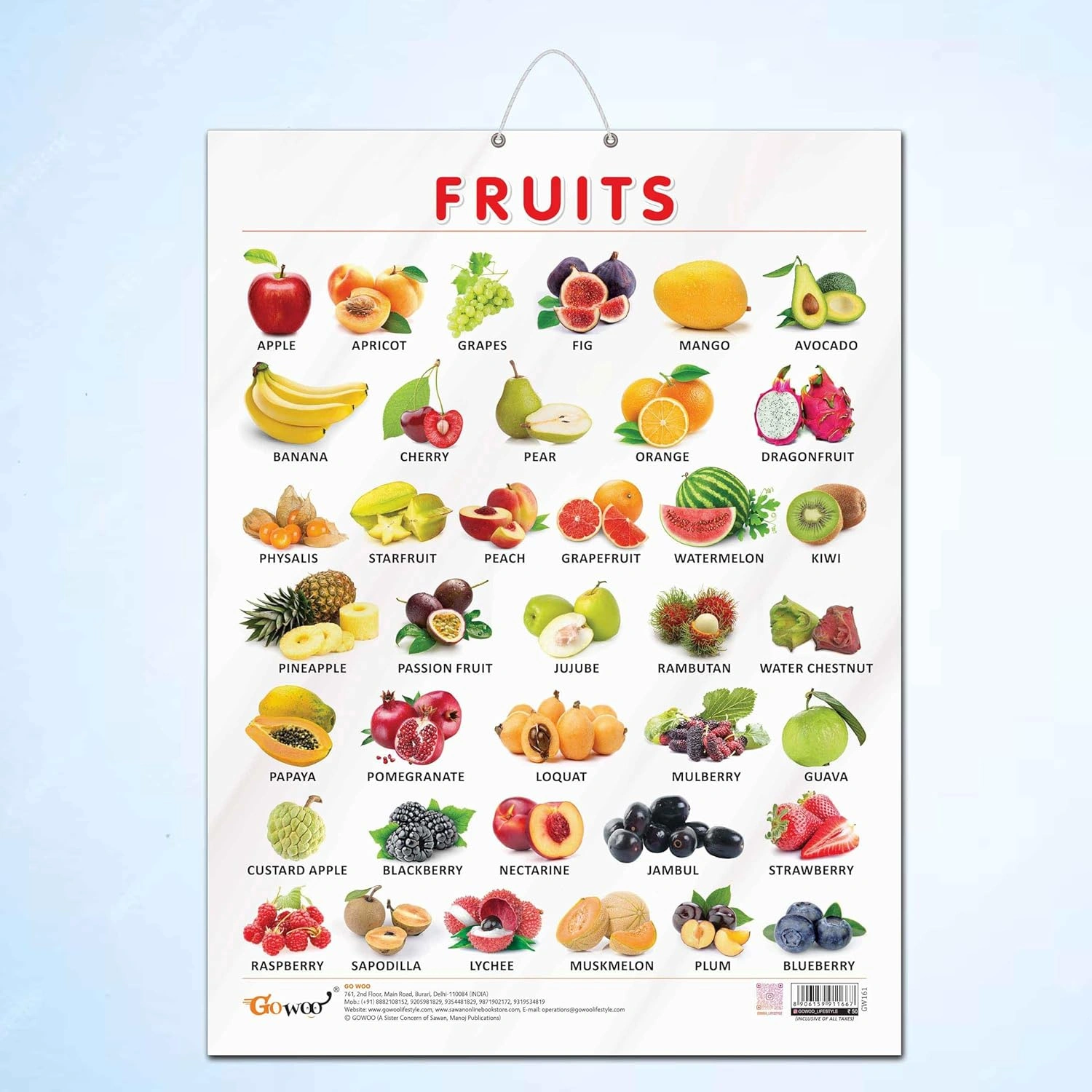 FRUITS CHART GLOSS LAMINATED | Fruitful Discoveries: Gloss-Laminated Fruits Chart Hardcover-RDSS100876