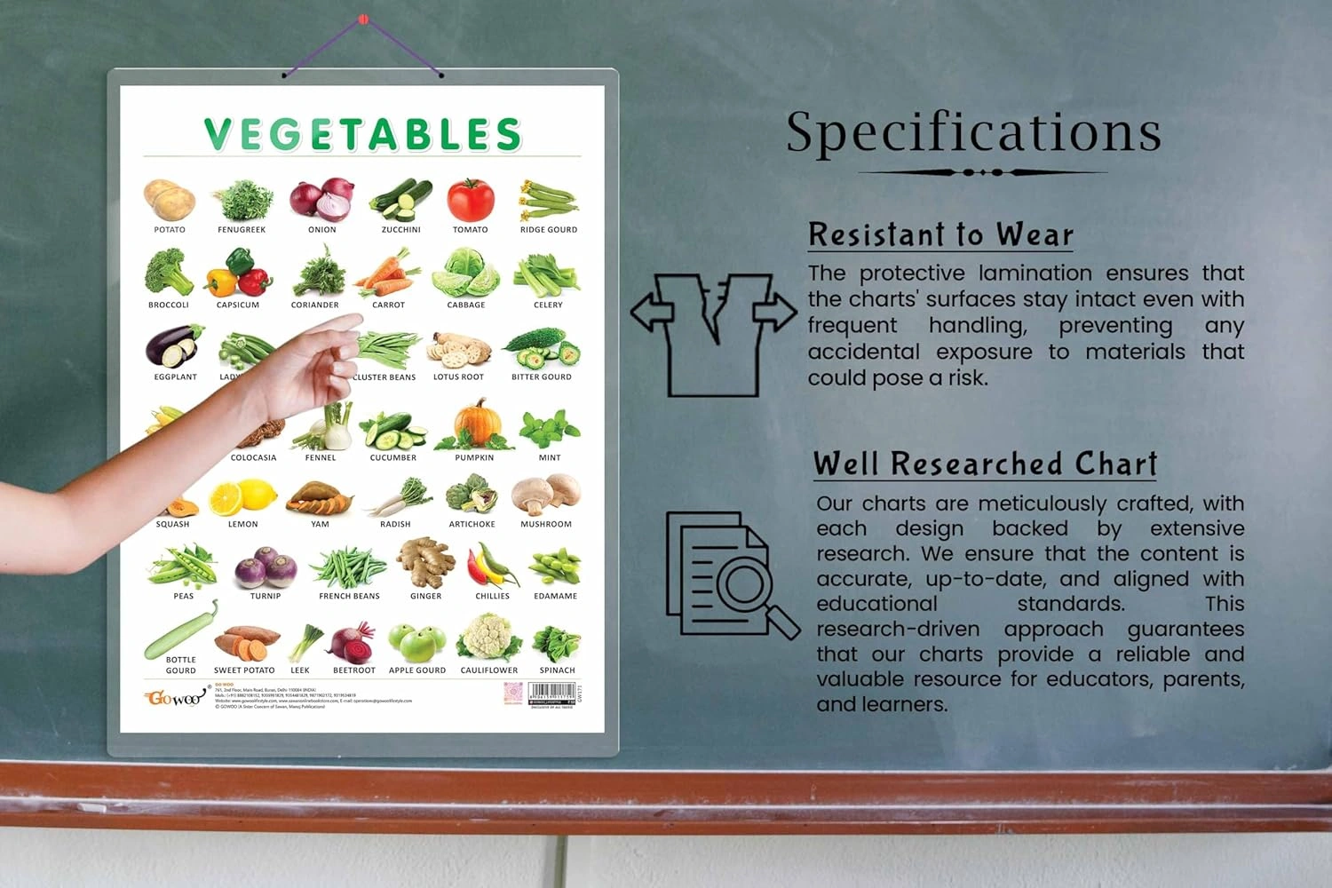 VEGETABLE CHART HARD LAMINATED | Veggie Wonderland Chart Hardcover-2