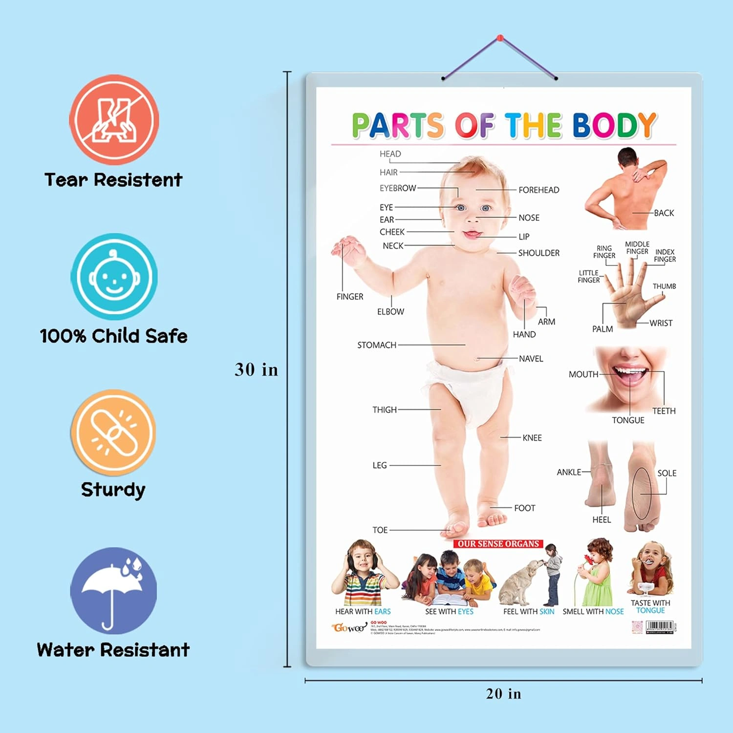 All in One Hard Laminated Educational Chart | Pack of 8 Charts (V2) [Hardcover]-2