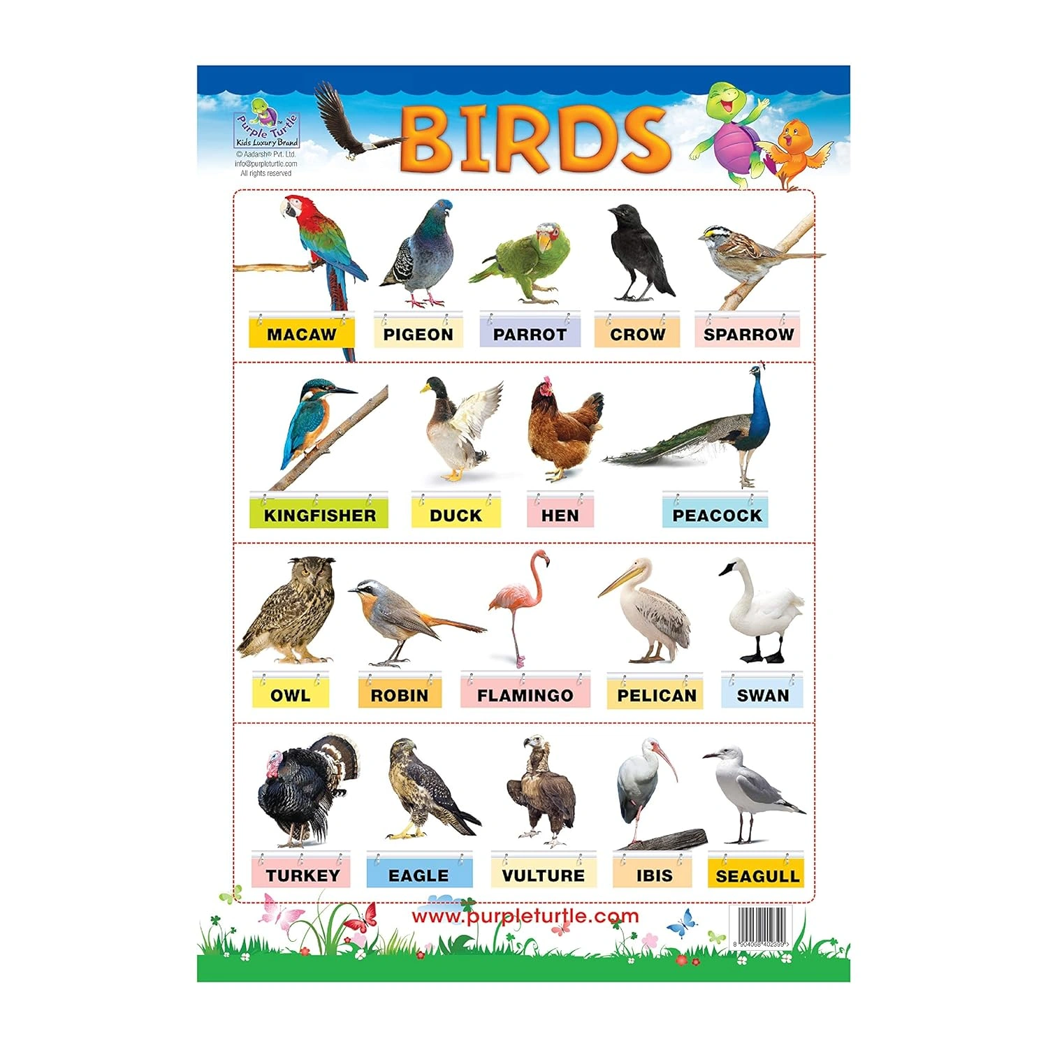 Flowers, Colours and Birds Educational Wall Charts For Kids Wall Chart-3