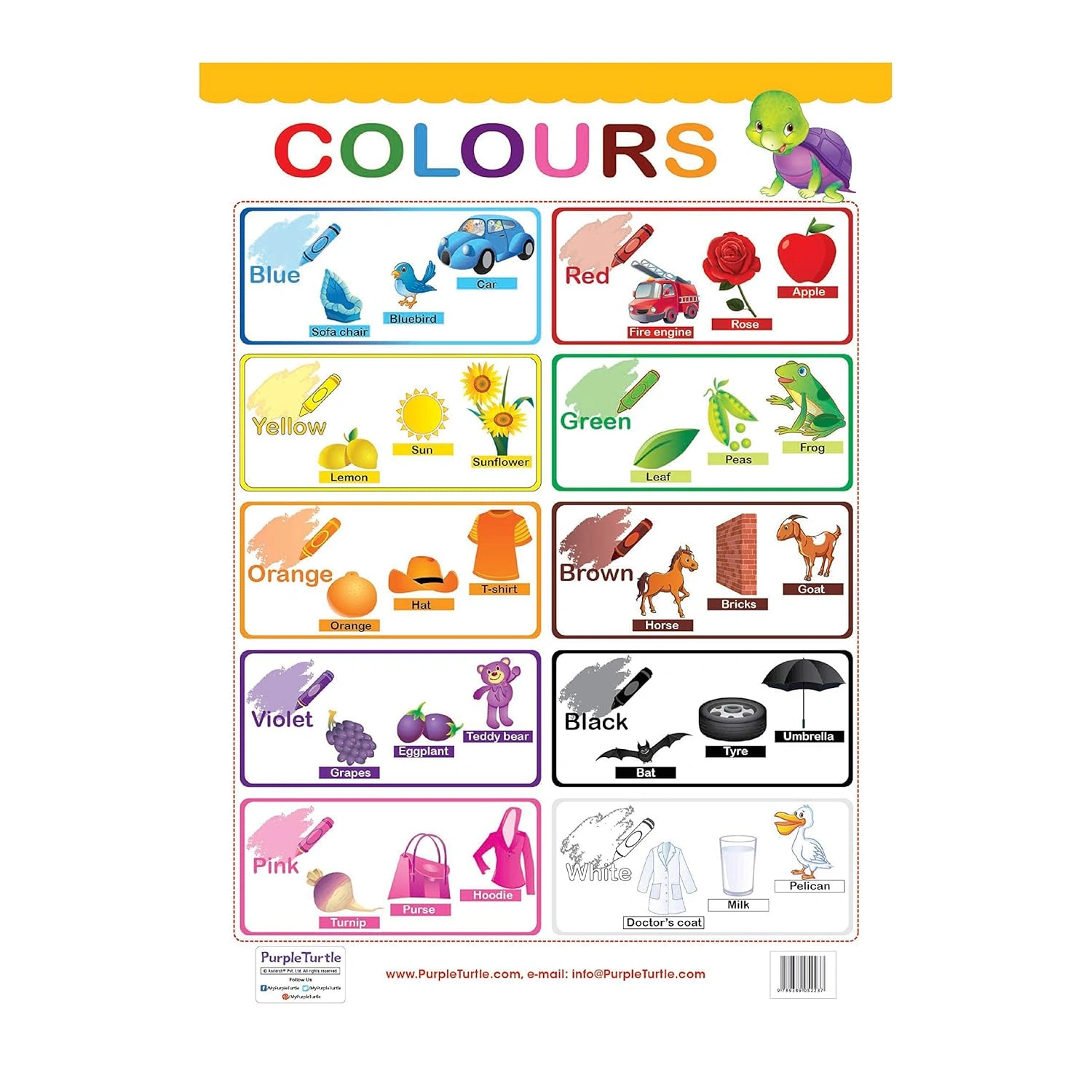 Flowers, Colours and Birds Educational Wall Charts For Kids Wall Chart-2