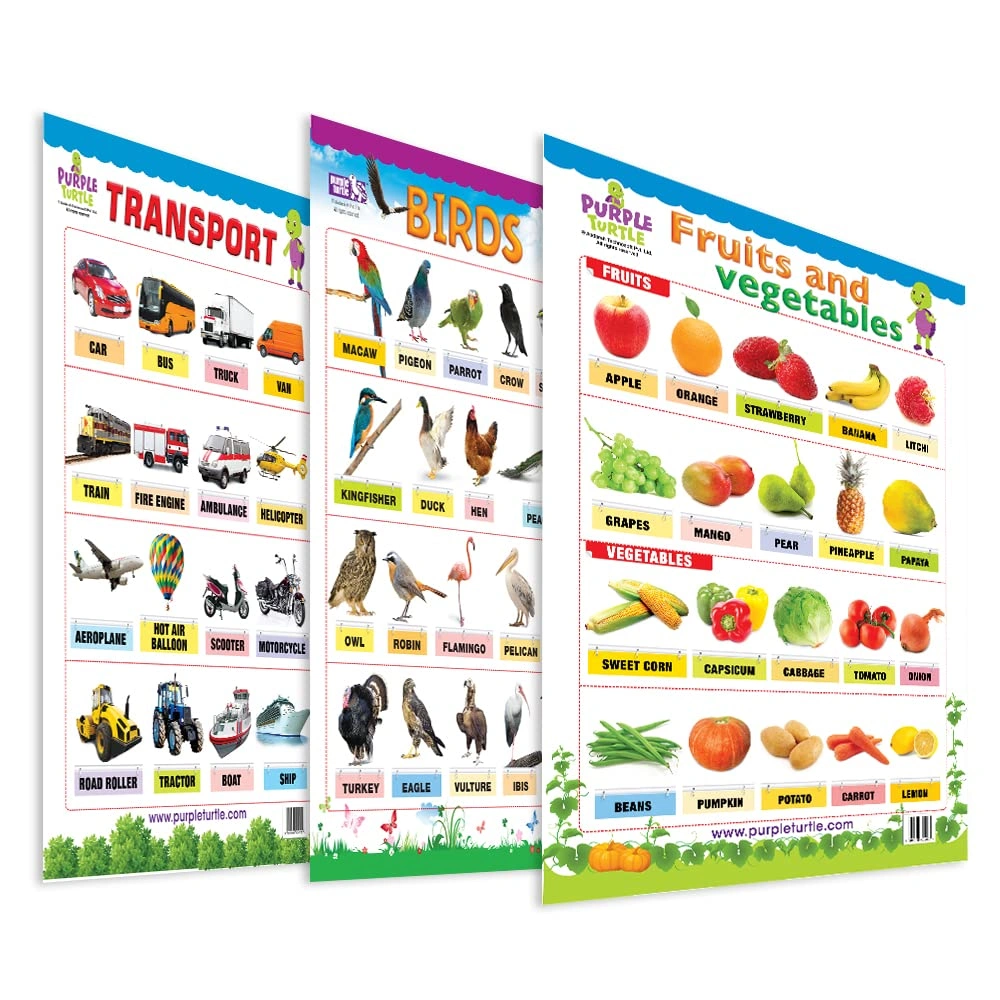 Fruits &amp; Vegetables, birds and Transport Educational Wall Charts for Kids Wall Chart-RDSS100942