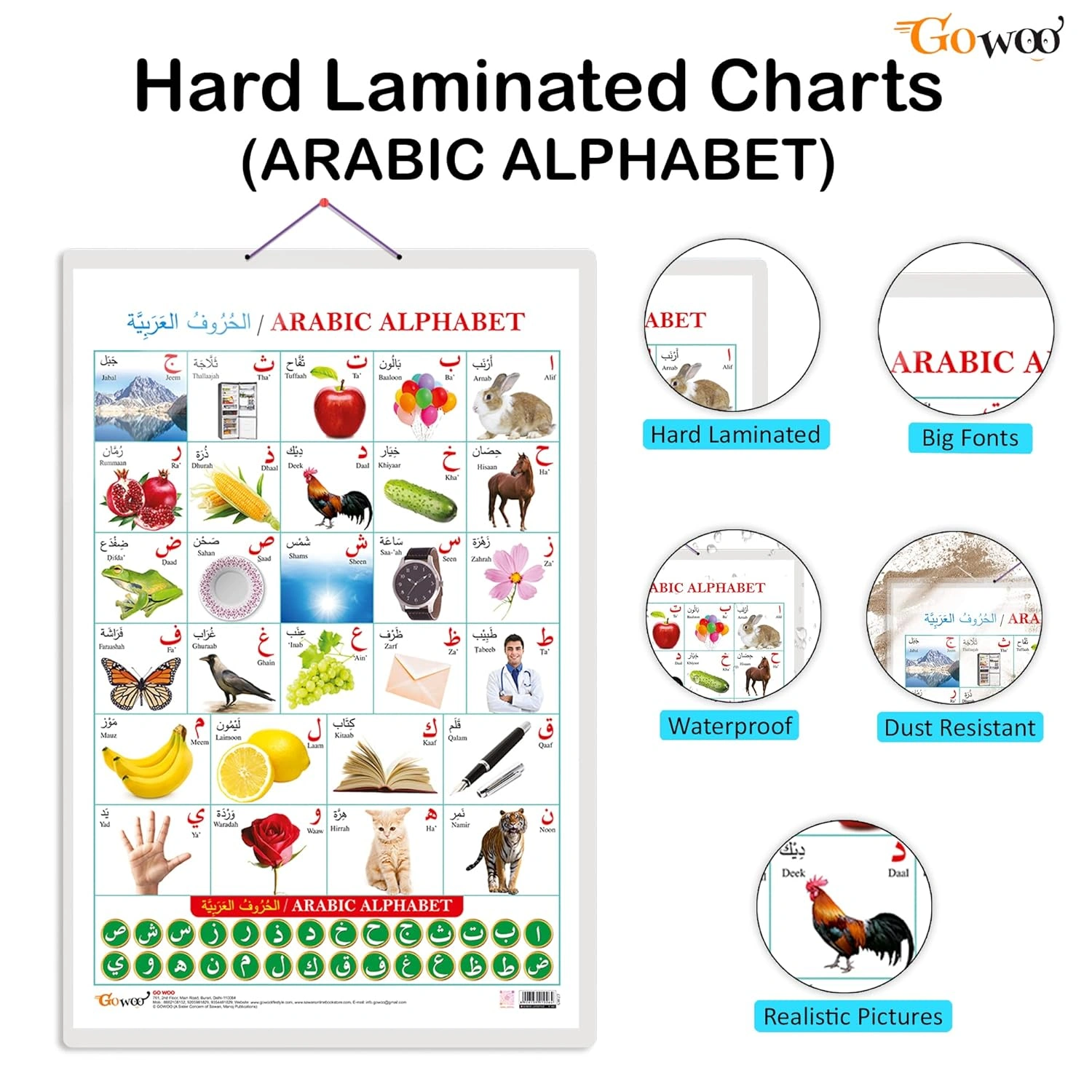 Arabic (Arabic) Educational chart with Big font and Dust resistant Lamination | 300 GSM Recyclable Chart Unknown Binding-1