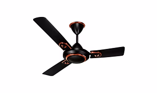 Royal DX Maxx Deco Ceiling Fan 1200mm (48 Inch) – High Speed Decorative Fan with Copper Motor
