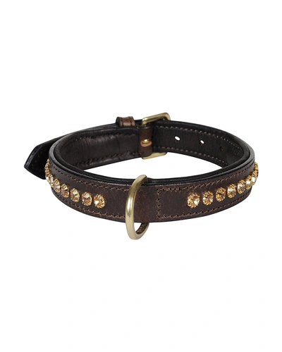 Leather Dog Collar Brown with Gold Stones Decoration-AMA-DC02-S