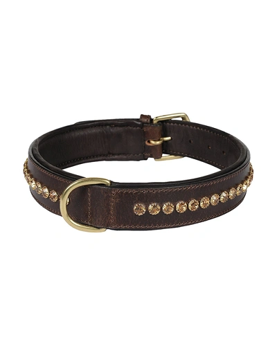 Leather Dog Collar Brown with Gold Stones Decoration-AMA-DC02-L
