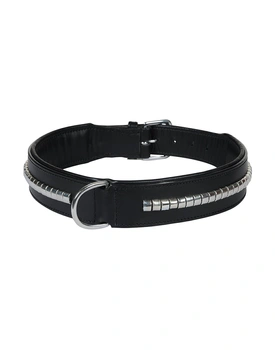 Leather Dog Collar Black with Silver Conchore Decoration