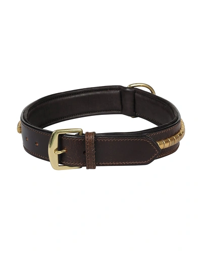 Leather Dog Collar Brown with Gold Conchore Decoration-LARGE-2