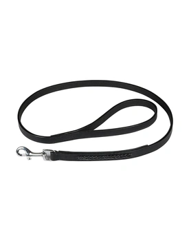 Dog leads shop online