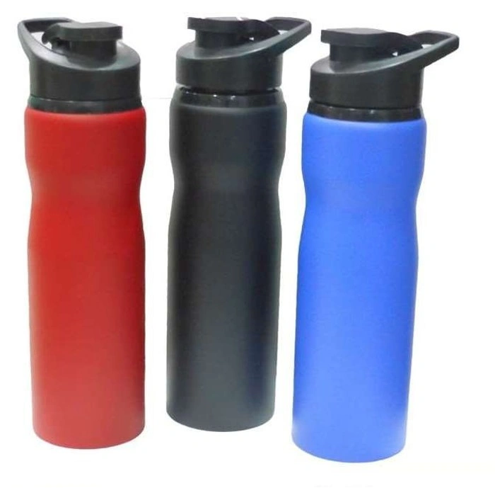 SS WATER BOTTLE (MATTE)-DW05Red