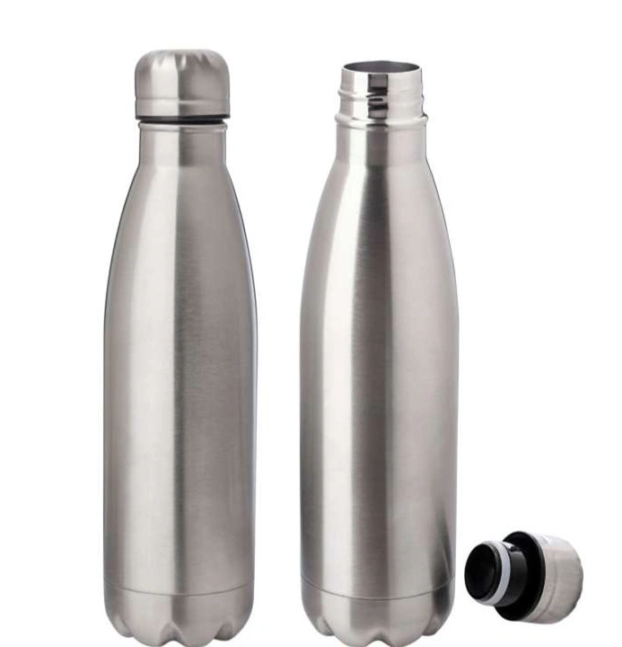 Vacuum Insulated Bottle-DW16Sliver