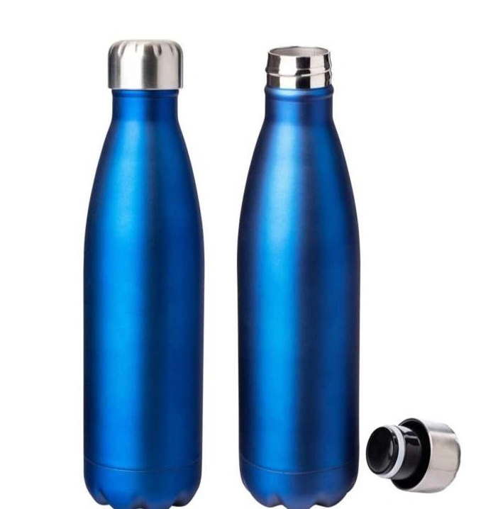 Vacuum Insulated Bottle-DW17Blue