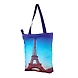 3D Digital Printed Canvas Ladies Hand  Bags NTB050-1-sm