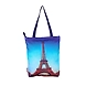 3D Digital Printed Canvas Ladies Hand  Bags NTB050-NTB050-sm