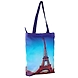 3D Digital Printed Canvas Ladies Hand  Bags NTB050-4-sm