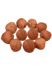 Laghu Nariyal/Shreephal / Mini Coconut Set Of 11 Pcs