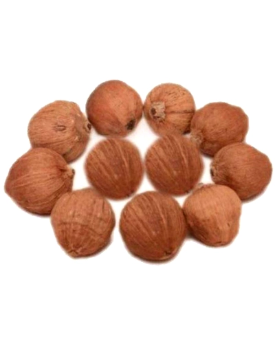 Laghu Nariyal/Shreephal / Mini Coconut Set Of 11 Pcs-SHREEPHAL11