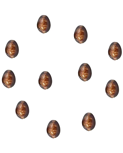 Brown Cowrie/Bhuri kaudi/Laxmi Koudi/Shells Set of 11 Pcs-BRCOWRIE11PC