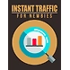 INSTANT TRAFFIC FOR NEWBIES-ET004-sm
