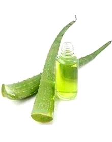 Aloe Vera OIl 100 ML