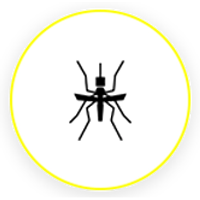 Mosquitoes-1000