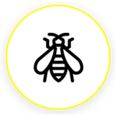 WASP AND BEES-1002