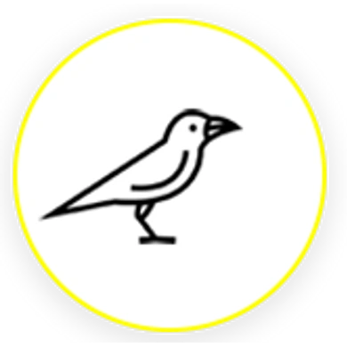 BIRD-1004