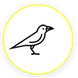 BIRD-1004-sm