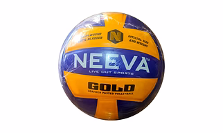 Volleyball 18 Panels