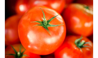Tomato (L)