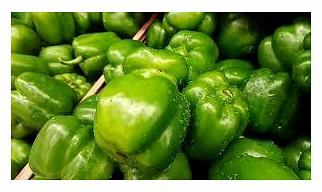 Capsicum