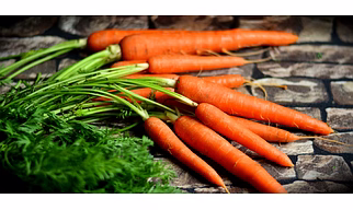 Carrot