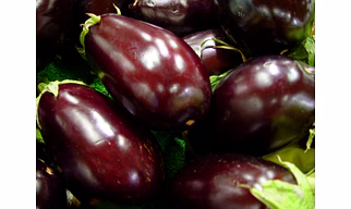 Black Brinjal