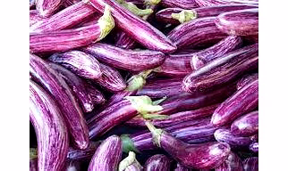 Long Brinjal