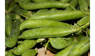 Green Peas