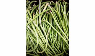 French Beans