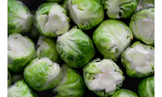 Cabbage