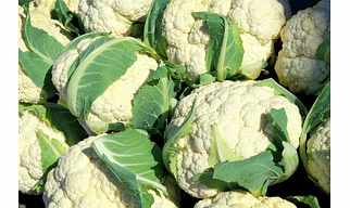 Cauliflower