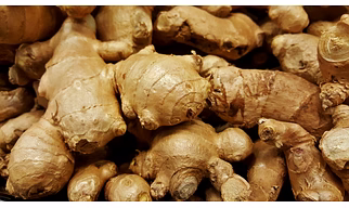Ginger