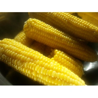 Sweet Corn