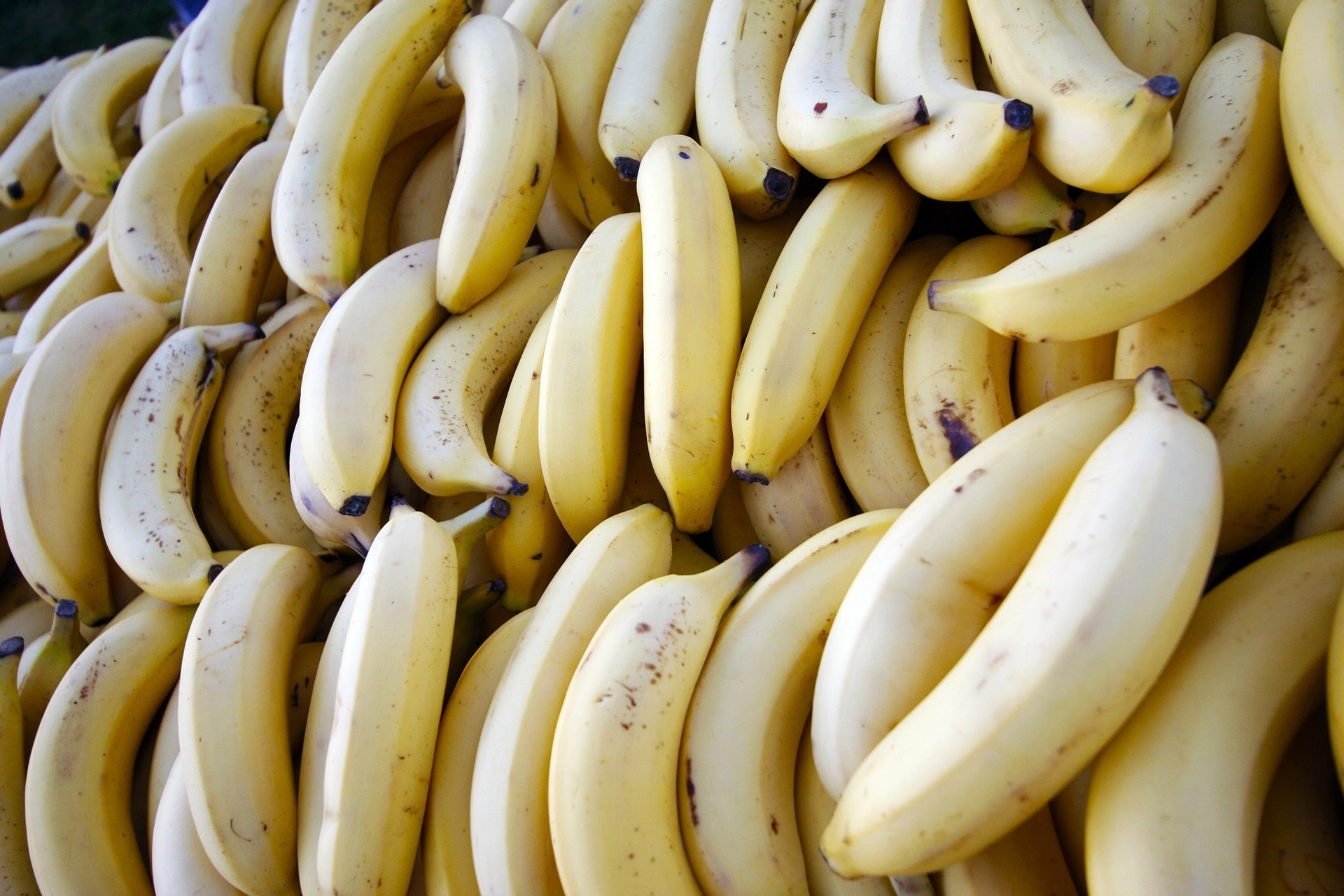 Raw Banana-10326