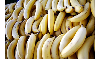 Raw Banana