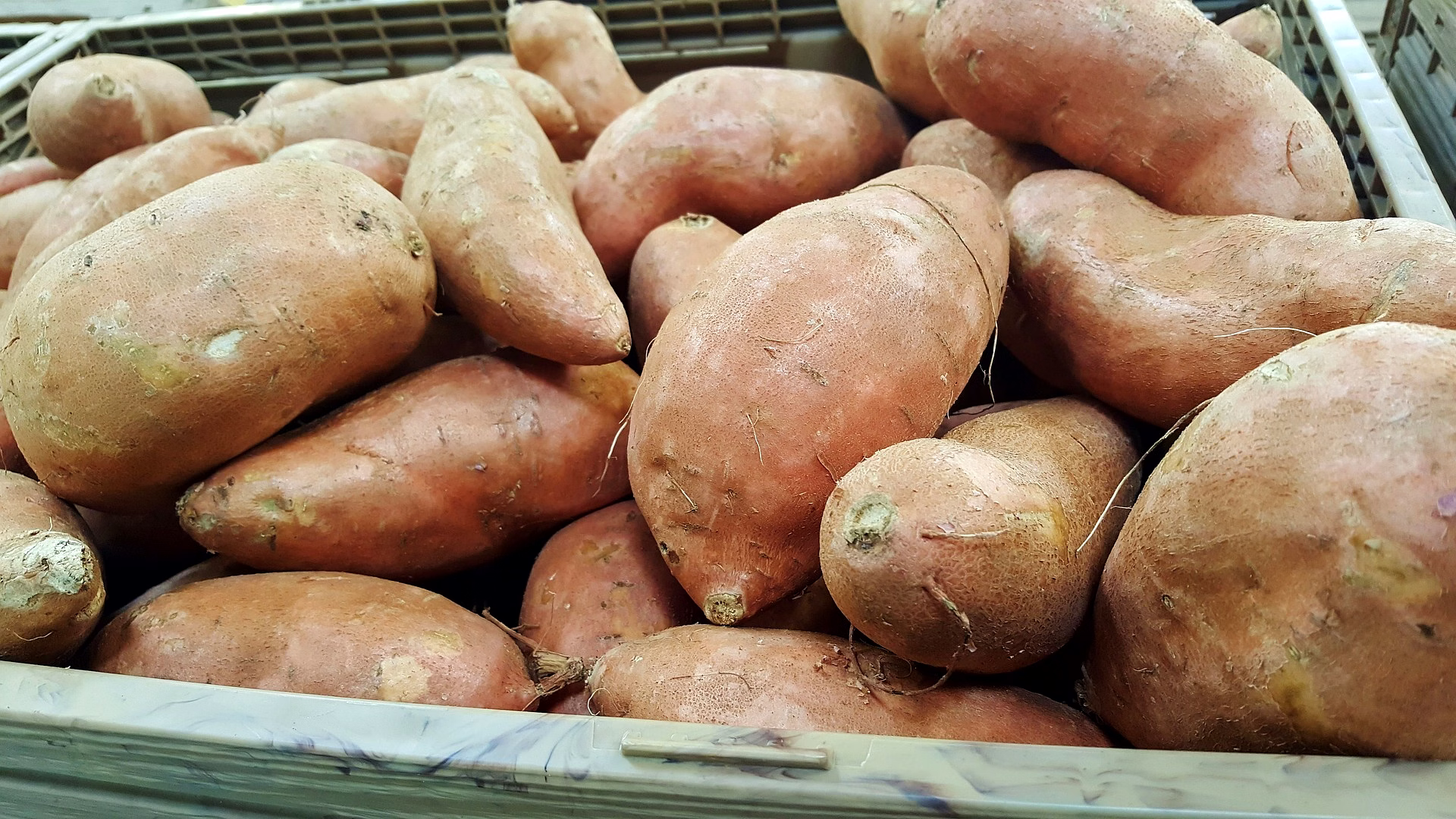 Sweet Potato image 1