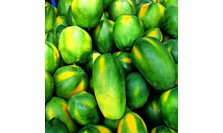 Green Papaya