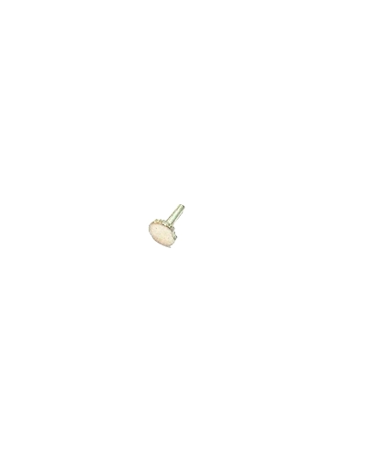 Vinayak REAL PEARLS Gold Nose Stud (3.5)-gn110m3pearl