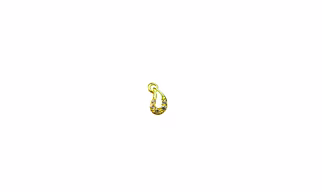 Vinayak Cubic Zirconia Gold Nose Stud(keri)