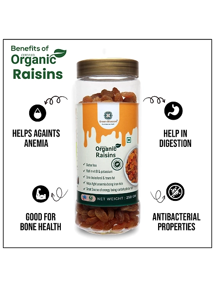 Green Blossom Organic Raisin /Kishmish - 500 gms ( Pack of 2 , NPOP Certified)